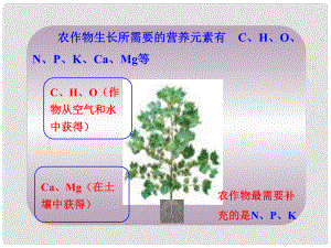 山東省郯城實驗中學(xué)九年級化學(xué)下冊 第十一單元《課題2 化學(xué)肥料》課件 （新版）新人教版