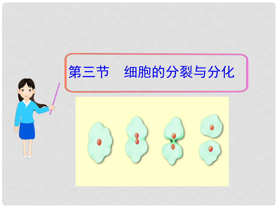 七年級(jí)生物上冊(cè) 第三節(jié) 細(xì)胞的分裂與分化課件 濟(jì)南版_第1頁