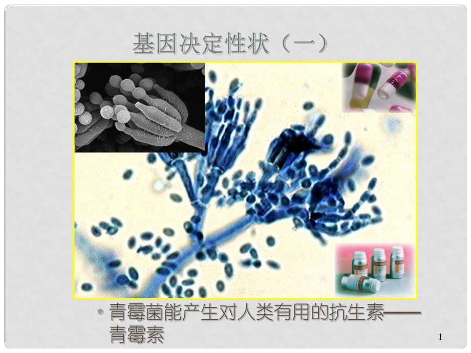 高三生物3年高考2年模擬 1基因工程課件_第1頁