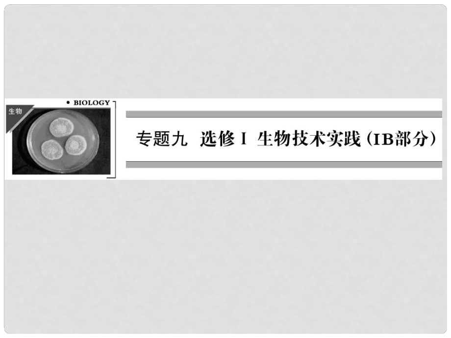 高三生物二轮冲刺专题查补 专题9 选修① 生物技术实践（IB部分）课件_第1页