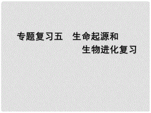 江蘇省南京市溧水縣孔鎮(zhèn)中學(xué)八年級生物下冊 第9單元 生物的進(jìn)化課件 蘇教版