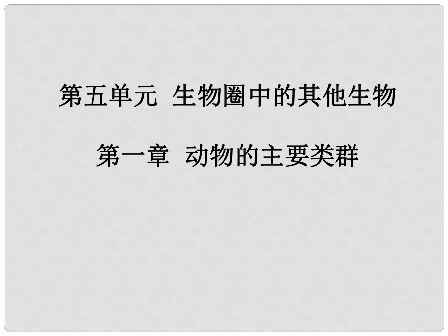 广东省河源市中英文实验学校中考生物 第五单元 第一章 动物的主要类群复习课件_第1页