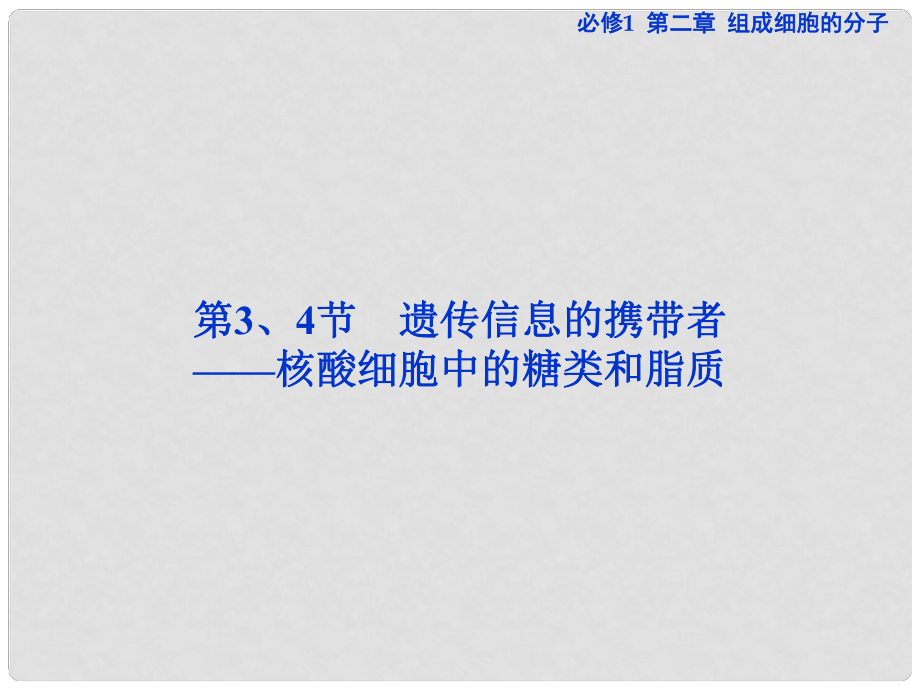 高考生物總復(fù)習(xí) 第二章第3、4節(jié) 遺傳信息的攜帶者（夯實(shí)雙基+高頻考點(diǎn)+專項(xiàng)突破+把脈高考）課件 新人教版必修1_第1頁(yè)