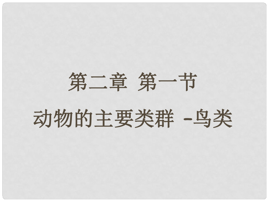 七年級生物上冊 第二單元 第二章 第二節(jié) 鳥類課件 濟南版_第1頁