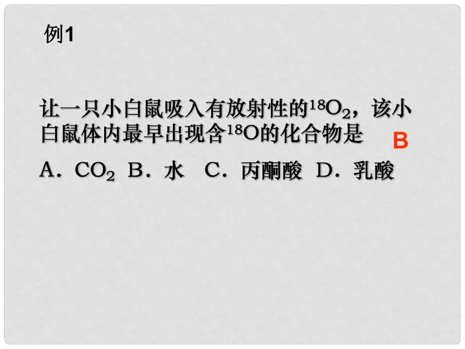 浙江省新安江中学高三生物《细胞呼吸复习》课件_第1页