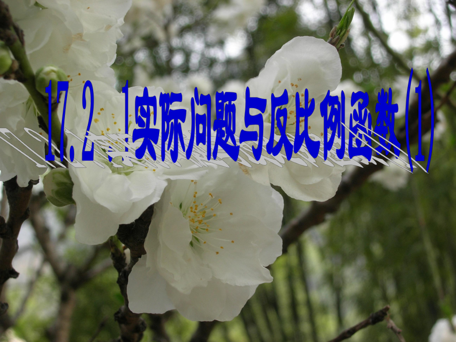 河南省范縣白衣閣鄉(xiāng)二中八年級數(shù)學(xué)下冊 17.2.1 實際問題與反比例函數(shù)課件 新人教版_第1頁