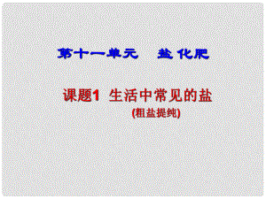 山東省郯城實驗中學(xué)九年級化學(xué)下冊 第十一單元《課題1 生活中常見的鹽》課件 （新版）新人教版