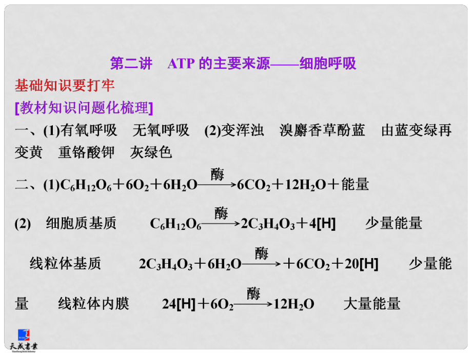 高考生物一輪復(fù)習(xí) 第三單元 第二講 ATP的主要來源 細(xì)胞呼吸課件 新人教版必修1_第1頁