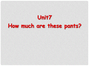 河南省洛陽45中七年級英語上冊 Unit 7 How much are these pants課件 人教新目標版