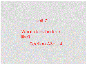 河南省鄭州市第九十六中七年級英語 Unit7 What does he look like Section A3a—4 課件 人教新目標版