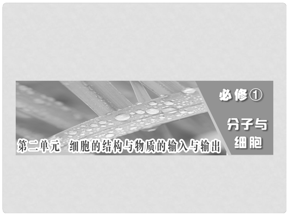 高考生物一輪復習 第二單元 第一講 細胞膜與細胞核（含生物膜的流動鑲嵌模型）課件 必修1_第1頁