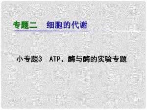 湖南生物復(fù)習(xí)二輪課件 專題2.3ATP、酶與酶的實驗專題