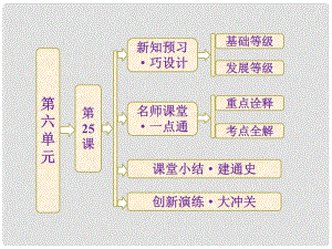 高中歷史 第六單元 第25課 現(xiàn)代科學(xué)革命課件 岳麓版必修3