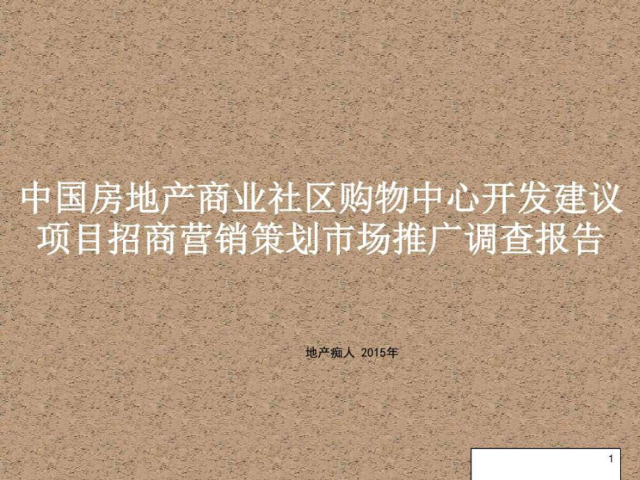 ..社区购物中心开发建议项目招商营销策划市场推广调查_第1页