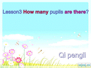 科普版英語五下Lesson 3How many pupils are there課件2