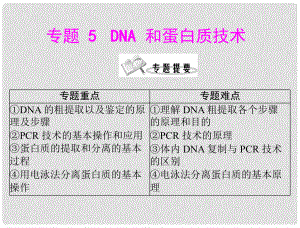 高中生物 專題五 課題1 DNA的粗提取與鑒定課件 新人教版