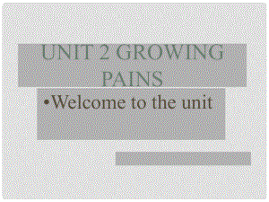 湖南省衡南縣第九中學(xué)高一英語(yǔ)《Unit2 Growing pains》課件 牛津版必修1