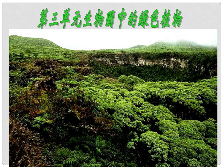 山東省臨沭縣第三初級(jí)中學(xué)七年級(jí)生物上冊(cè) 藻類、苔蘚和蕨類植物課件 新人教版_第1頁(yè)