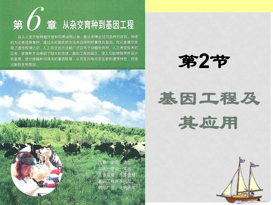 高中生物《第六章 第二節(jié) 基因工程及其應(yīng)用》課件 新人教版必修2_第1頁(yè)