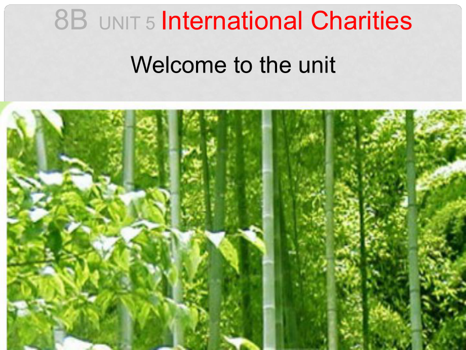 江蘇省宿遷市鐘吾初級中學(xué)八年級英語下冊《Unit 5 International Charities》課件 牛津版_第1頁