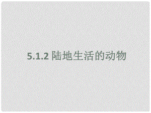 廣東省佛山市中大附中三水實(shí)驗(yàn)中學(xué)八年級(jí)生物上冊(cè)《陸地生活的動(dòng)物》課件（2） 新人教版