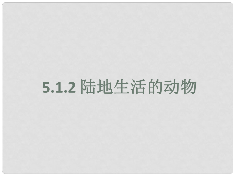 廣東省佛山市中大附中三水實驗中學(xué)八年級生物上冊《陸地生活的動物》課件（2） 新人教版_第1頁