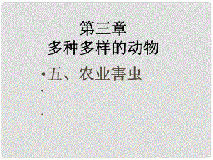 七年級生物上冊 第三章 多種多樣的動物 農(nóng)業(yè)害蟲課件 冀教版