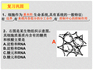 高中生物《第四章 第一節(jié) 物質(zhì)跨膜運(yùn)輸?shù)膶?shí)例》課件2 新人教版必修1