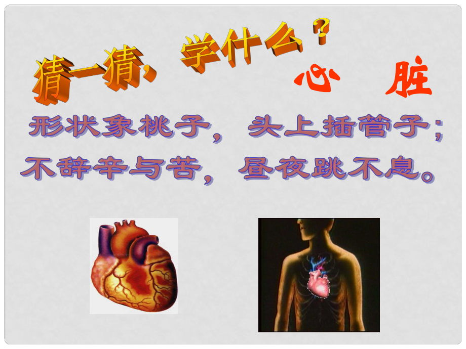 七年级生物下册 输送血液的泵心脏课件 新人教版_第1页