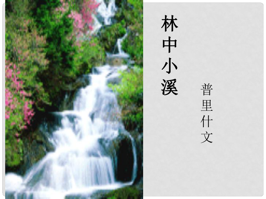 江蘇省昆山市錦溪中學九年級語文上冊 第一單元《林中小溪》課件 蘇教版_第1頁