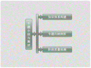 高中歷史 專題三 專題小結(jié)與測(cè)評(píng)課件 人民版選修2