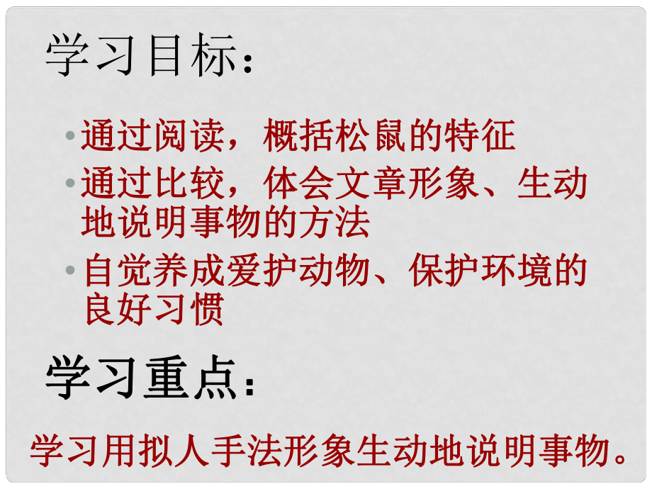 山西省太谷縣明星中學七年級語文下冊 第15課《松鼠》課件 蘇教版_第1頁