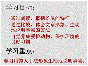 山西省太谷縣明星中學(xué)七年級(jí)語(yǔ)文下冊(cè) 第15課《松鼠》課件 蘇教版