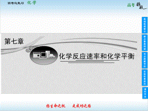 高考化學總復習 第一節(jié) 化學反應速率及影響因素課件 新人教版必修1