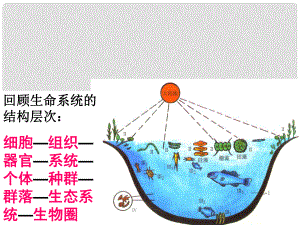 高中生物《第五章 第一節(jié) 生態(tài)系統(tǒng)的結(jié)構(gòu)》課件5 新人教版必修3