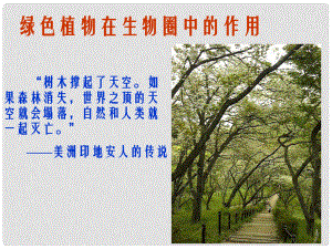 重慶市萬州區(qū)塘坊初級中學(xué)七年級生物上冊 第七章 綠色植物與生物圈 71 綠色植物在生物圈中的作用課件2 北師大版