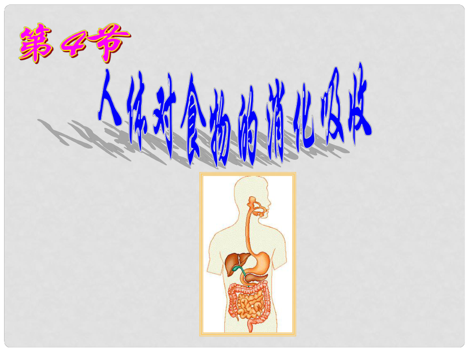 江蘇省淮安市淮陰區(qū)張集中學七年級生物上冊 第5章 第4節(jié) 人體對食物的消化吸收課件 蘇科版_第1頁