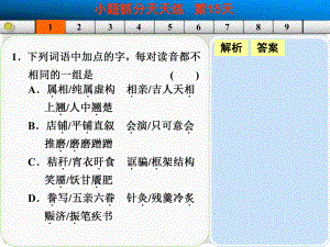 山東省高考語(yǔ)文大一輪復(fù)習(xí)講義 小題抓分天天練 第15天課件 魯人版