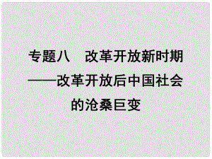 高考歷史二輪專題復習 專題8 改革開放新時期 改革開放后中國社會的滄桑巨變課件 人民版