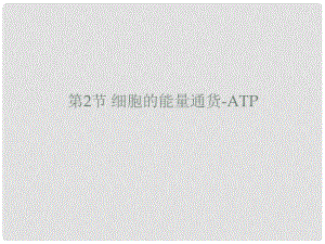 江蘇省邳州市第二中學高中生物一輪總復習 細胞的能量“通貨”ATP課件 新人教版