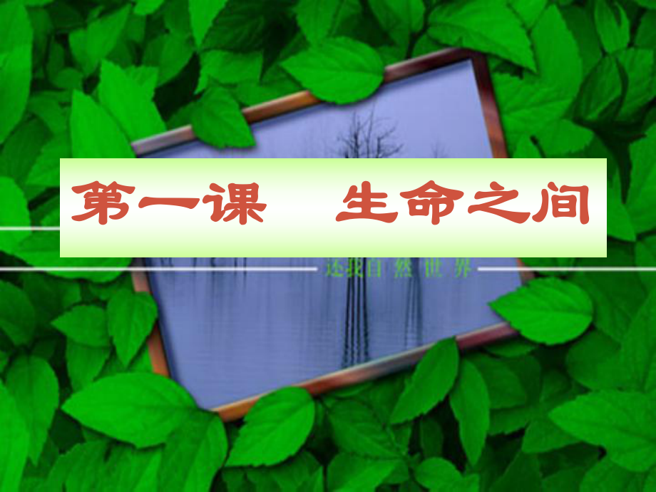 七年級政治上冊 31《生命之間》課件 人民版_第1頁