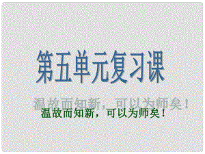 湖北省襄陽五中九年級語文下冊 第五單元綜合復(fù)習(xí)課件1 新人教版