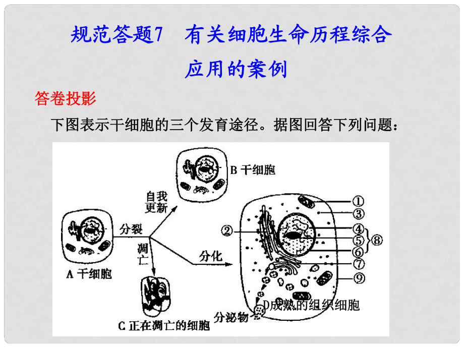 高考生物 答題規(guī)范 有關(guān)細(xì)胞生命歷程綜合教學(xué)課件 新人教版_第1頁(yè)