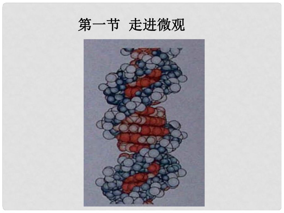 河南省鄲城縣光明中學(xué)八年級(jí)物理全冊(cè) 11.1 走進(jìn)微觀課件 （新版）滬科版_第1頁(yè)