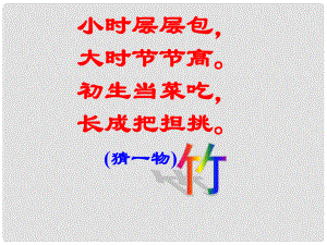 廣西南丹縣高級中學七年級語文 竹林深處人家課件 新人教版