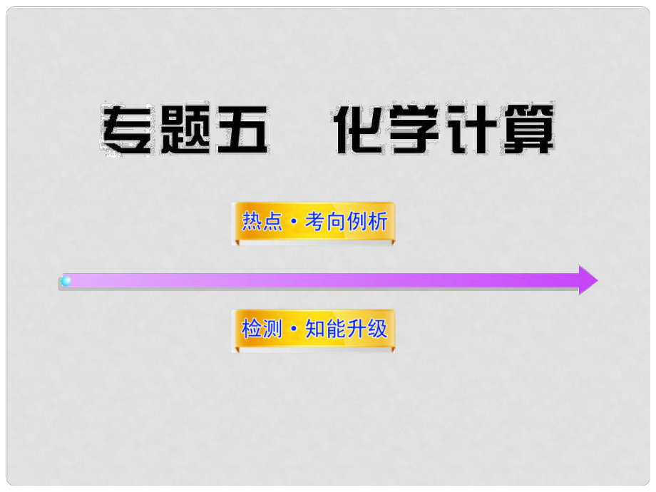 江西省萍乡市芦溪县宣风镇中学中考化学 专题5 化学计算复习课件 新人教版_第1页