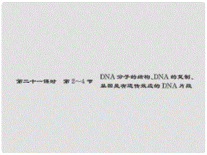 新高考第一輪總復(fù)習(xí) 第二十一課時(shí) 第24節(jié) DNA分子的結(jié)構(gòu)、DNA的復(fù)制、基因是有遺傳效應(yīng)的DNA片段課件 新人教版必修2