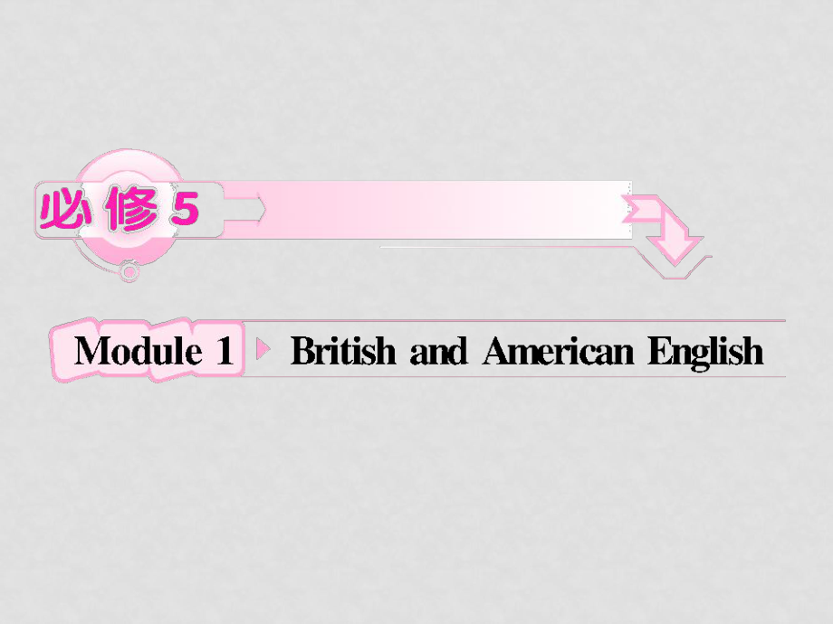 遼寧省大連鐵路中學(xué)高中英語(yǔ) Module1 British and American English課件 外研版必修4_第1頁(yè)