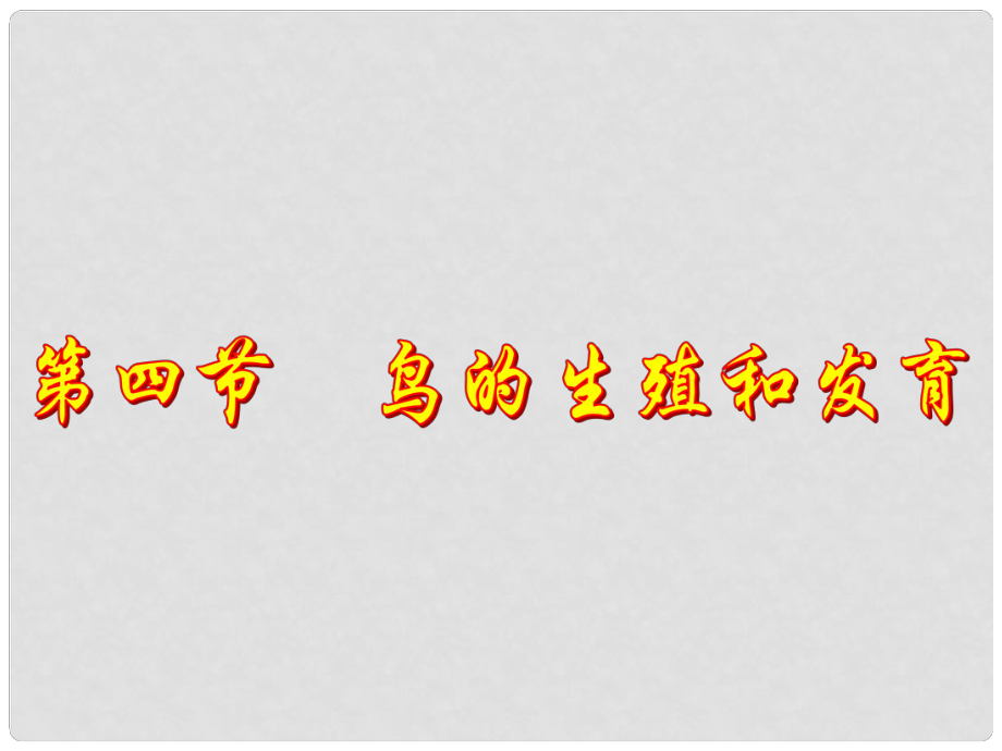 河南省鄲城縣光明中學八年級生物下冊《第四節(jié) 鳥的生殖和發(fā)育》課件 蘇教版_第1頁