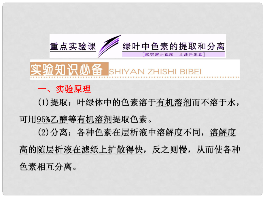 高考生物一轮复习 重点实验课 绿叶中色素的提取和分离课件 新人教版_第1页